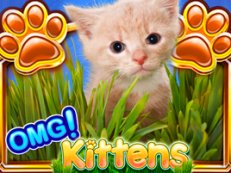 omg kittens 2 slot