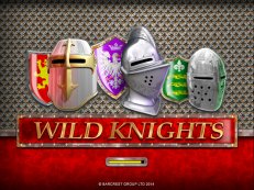 wild knights slot