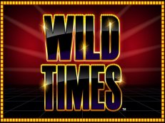 wild times slot