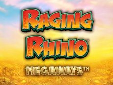 raging rhino megaways