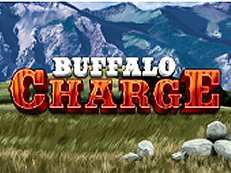 buffalo charge